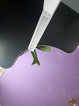 Soft Pleasure online show from October 30, 2025, 8:34 am