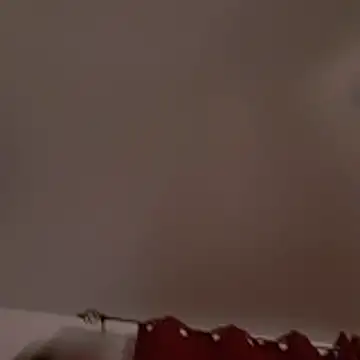 David1982qq online show from March 3, 2026, 9:16 am