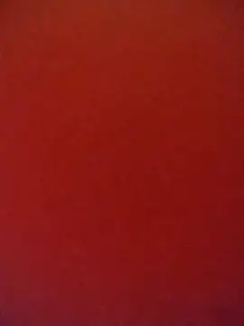 Fox Roxxan online show from October 12, 2025, 1:51 am