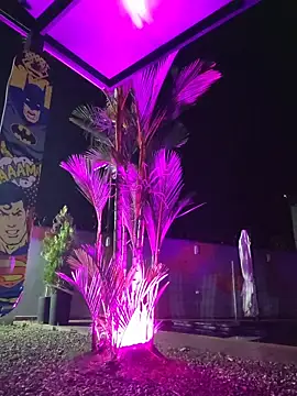 Yessica Lopezz online show from February 24, 2026, 10:16 am