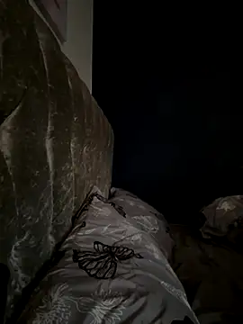 Star-36 online show from December 3, 2025, 11:09 am