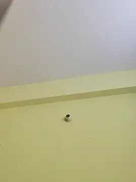 Snapshot of radhika2 chatting on November 7, 2025, 9:08 pm radhika2 online show from November 7, 2025, 9:08 pm