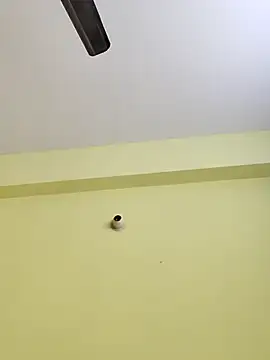 Snapshot of radhika2 chatting on November 17, 2025, 8:02 pm radhika2 online show from November 17, 2025, 8:02 pm