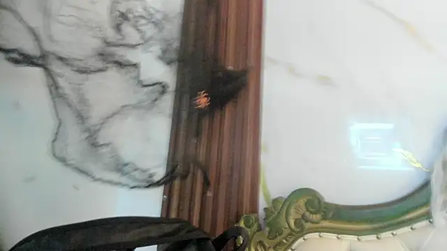 Snapshot of CoralieBronson chatting on October 28, 2025, 8:41 pm CoralieBronson online show from October 28, 2025, 8:41 pm