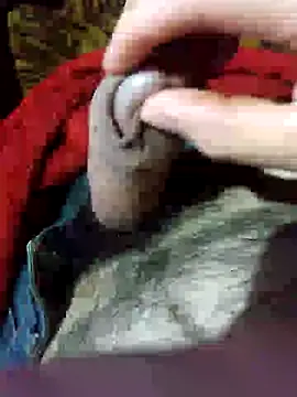 Snapshot of parque chatting on November 4, 2025, 12:47 am parque online show from November 4, 2025, 12:47 am