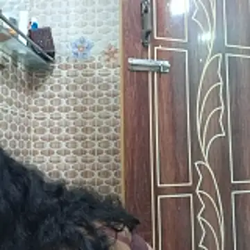 Snapshot of Bristy- chatting on November 6, 2025, 11:25 am Bristy- online show from November 6, 2025, 11:25 am