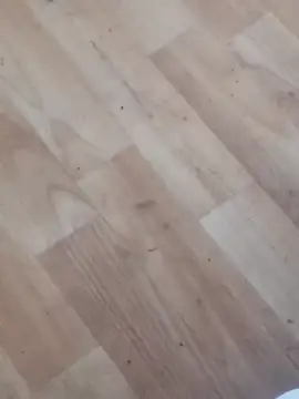 Snapshot of jhoi95 chatting on October 20, 2025, 10:32 pm jhoi95 online show from October 20, 2025, 10:32 pm