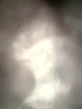 Lamar180 online show from January 13, 2026, 4:22 pm