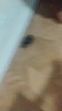 LeoMaduroSP online show from January 17, 2026, 12:48 am