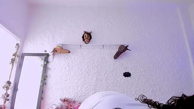 catleya noire online show from December 20, 2025, 7:50 pm