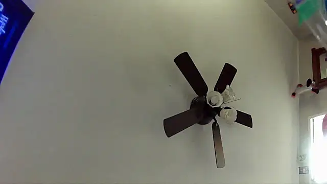 33Stella online show from January 13, 2026, 6:50 am