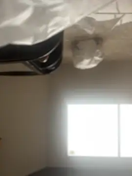 Noa Todokoro online show from November 14, 2025, 3:05 pm