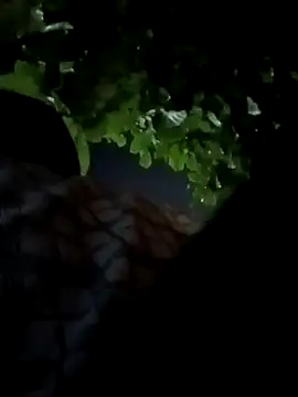 Snapshot of Rajopensex_955 chatting on March 21, 2026, 6:23 pm Rajopensex 955 online show from March 21, 2026, 6:23 pm