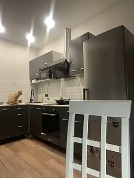 tammy gun online show from November 19, 2025, 6:19 pm