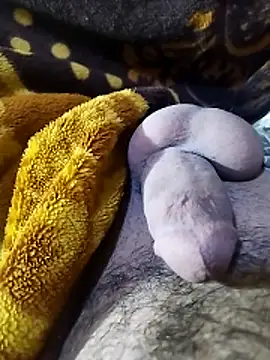 ADAM50001 online show from April 2, 2026, 2:41 am