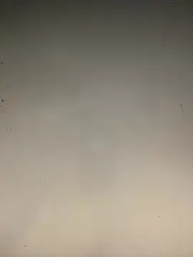 sasatimido online show from January 14, 2026, 9:07 pm