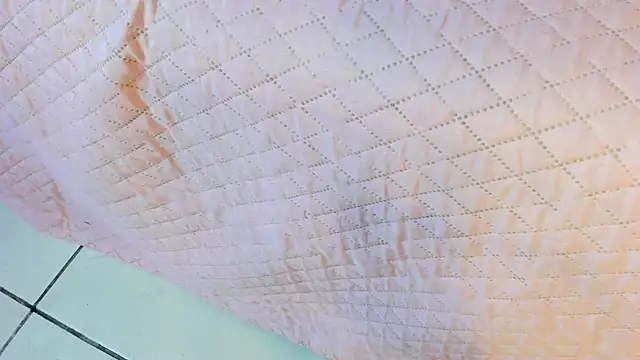  jasmine blush online show from March 22, 2026, 1:45 pm