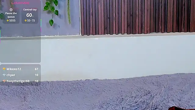 Dakotaferreti online show from October 21, 2025, 8:36 am