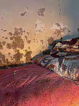 Snapshot of ParousFlow chatting on March 14, 2026, 1:22 am ParousFlow online show from March 14, 2026, 1:22 am