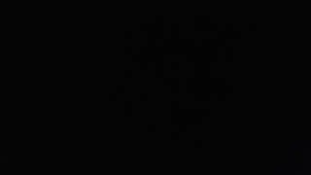 sacoa online show from November 19, 2025, 2:50 pm