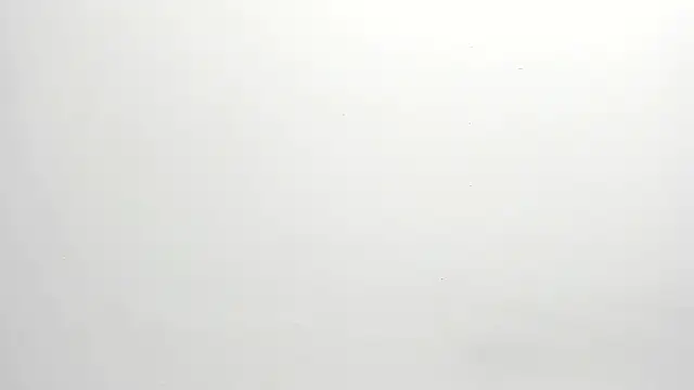 ximena vasquez8 online show from December 17, 2025, 3:00 am