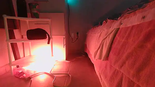 SatiroyNinfa online show from March 30, 2026, 10:33 pm