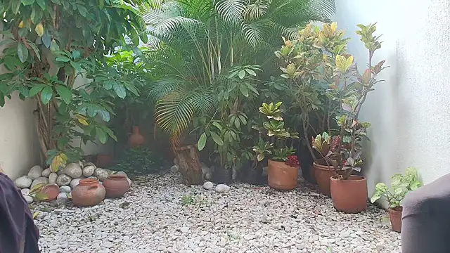 sharon greey online show from October 11, 2025, 8:10 pm