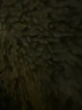 Snapshot of anonimgirl18old chatting on February 21, 2026, 6:32 pm anonimgirl18old online show from February 21, 2026, 6:32 pm