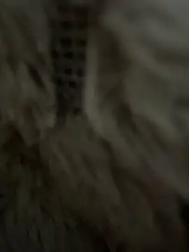 Snapshot of anonimgirl18old chatting on February 25, 2026, 8:36 am anonimgirl18old online show from February 25, 2026, 8:36 am