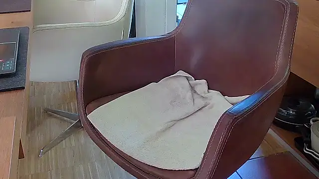 Unique X perience online show from October 7, 2025, 12:06 pm