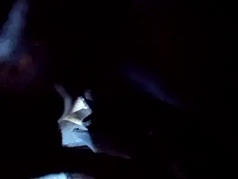 Snapshot of PENTHOUSECEOCLUBHOUSEPRES chatting on November 25, 2025, 6:41 pm PENTHOUSECEOCLUBHOUSEPRES online show from November 25, 2025, 6:41 pm