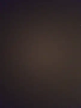 minnetird online show from March 25, 2026, 4:01 am