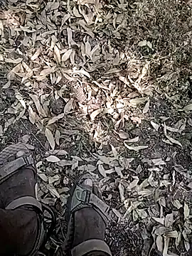 Snapshot of Telugu_person12 chatting on January 7, 2026, 8:52 am Telugu person12 online show from January 7, 2026, 8:52 am