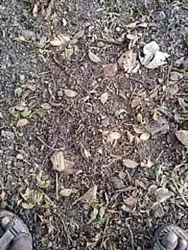 Snapshot of Telugu_person12 chatting on January 14, 2026, 7:56 am Telugu person12 online show from January 14, 2026, 7:56 am