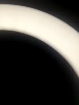 sapna 2121 online show from November 19, 2025, 7:08 am