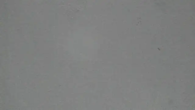 Snapshot of Sophia_Ebony chatting on February 19, 2026, 12:02 pm Sophia Ebony online show from February 19, 2026, 12:02 pm