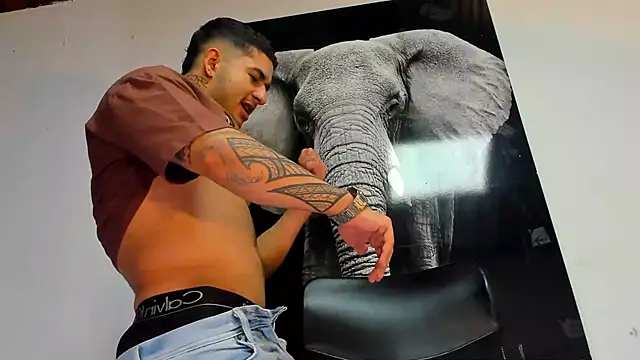 king falconer online show from October 29, 2025, 2:54 am