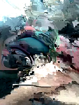 geraldoo007 online show from October 28, 2025, 3:44 pm