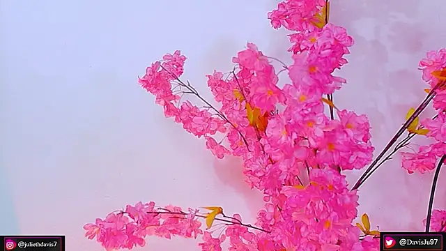 Snapshot of JulietaDavis chatting on May 27, 2026, 9:38 am JulietaDavis online show from May 27, 2026, 9:38 am