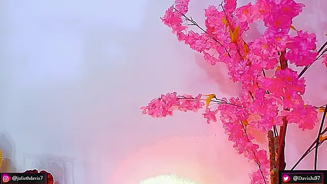 Snapshot of JulietaDavis chatting on June 3, 2026, 9:32 am JulietaDavis online show from June 3, 2026, 9:32 am