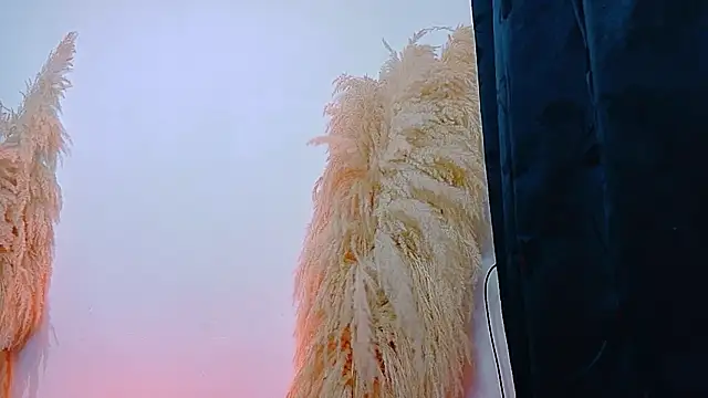 JulietaDavis online show from February 22, 2026, 9:33 am