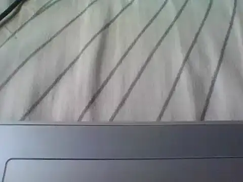 young dickkk online show from September 25, 2025, 12:22 pm