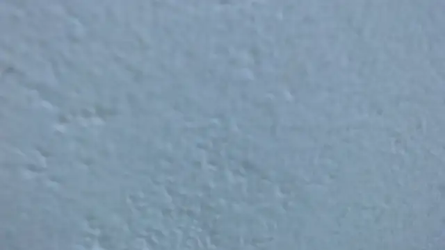 carolina zabala 19 online show from March 23, 2026, 7:36 pm