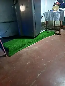 BabyHansi online show from March 29, 2026, 5:03 pm