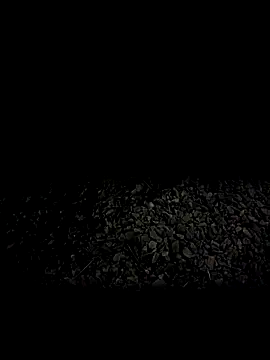 Snapshot of steelwoodVids chatting on November 19, 2025, 1:49 am steelwoodVids online show from November 19, 2025, 1:49 am