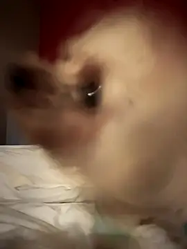 Snapshot of Ofcourseoneday chatting on October 16, 2025, 7:00 pm Ofcourseoneday online show from October 16, 2025, 7:00 pm