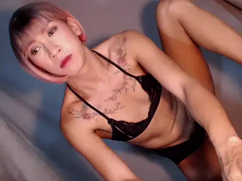 Xyourstellafox online show from December 14, 2025, 8:20 am