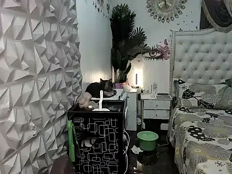 Snapshot of janecomander chatting on March 2, 2026, 8:54 am janecomander online show from March 2, 2026, 8:54 am