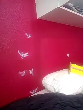 Cnutt310 online show from October 22, 2025, 8:41 pm