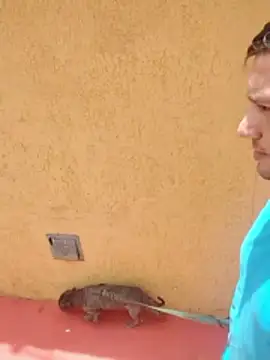 Snapshot of jeff_pepoer chatting on January 7, 2026, 3:39 pm jeff pepoer online show from January 7, 2026, 3:39 pm